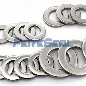 Solid Metal Flat Gasket Metal Wahser CiXi Feite Sealing